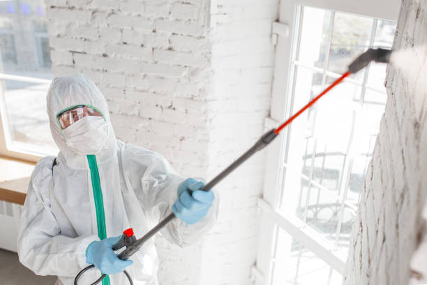 Best Post-Remediation Verification Testing  in Tompkinsville, KY