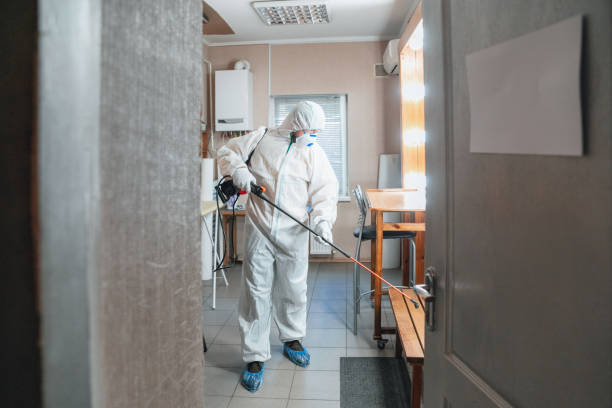 Best Post-Construction Mold Inspection  in Tompkinsville, KY
